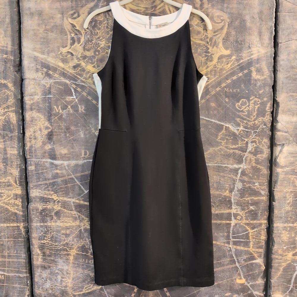 NWOT Daniel Cremieux Formal Dress Black And White Size 6 Stretch Form Fitting